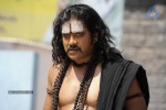 Nagarjuna Stills in Jagadguru Adi Shankara Movie - 4 of 20