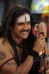 Nagarjuna Stills in Jagadguru Adi Shankara Movie - 7 of 20