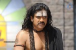 Nagarjuna Stills in Jagadguru Adi Shankara Movie - 11 of 20
