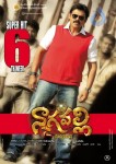 Nagavalli Movie 50 days Posters - 11 of 13