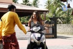 Namitha Hot Stills In Iddaru Monagallu - 167 of 195