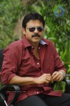 Namovenkatesa Venkatesh Stills - 9 of 98