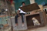 Nataraju Thane Raju Movie Photos - 24 of 40