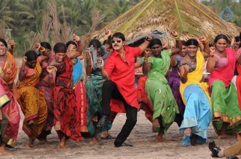 Natu Kodi Movie Photos - 6 of 16