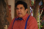 Navvula Sandadi Movie Stills - 24 of 48