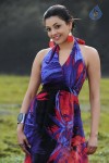 Nayak Movie Heroine Stills - 7 of 11