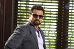 Nee Naan Nizhal Tamil Movie Stills - 44 of 67