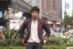 Nee Naan Nizhal Tamil Movie Stills - 51 of 67