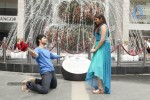 Nee Naan Nizhal Tamil Movie Stills - 65 of 67
