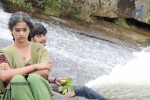 Neeku Naaku Dash Dash Movie Stills - 16 of 57