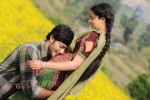 Neeku Naaku Dash Dash Movie Stills - 50 of 57