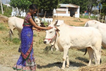 Neelampati Ammoru Movie Photos - 41 of 42