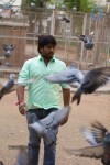 Nenu Nene Ramune Movie Stills - 6 of 16