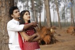 Niluvave Vaalu Kanuladaana Movie Photos - 1 of 8