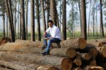 Niluvave Vaalu Kanuladana Movie Stills - 17 of 29