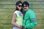 Nippu Movie Latest Gallery - 31 of 37