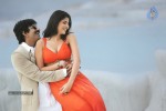 Nippu Movie New Stills - 15 of 16