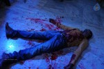 No End Movie Stills n Walls - 10 of 15
