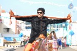 Nuvva Nena Movie Hot Stills - 4 of 25
