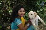 Nuvve Kavali Short Film Stills - 109 of 152