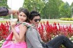 Nuvve Naa Bangaram Stills - 17 of 31