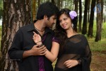 Oke Okka Chance Movie New Stills - 12 of 54