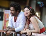 Oosaravelli Movie New Stills - 3 of 9