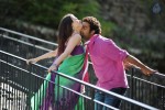 Oosaravelli Movie High Resolution Stills - 13 of 20