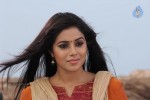 Padam Pesum Tamil Movie Stills - 26 of 28