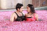 Srimati Bangaram Movie Stills - 8 of 27