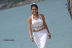 Pandi Oli Perukki Nilayam Tamil Movie Stills - 13 of 75