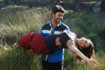 Panduvam Tamil Movie Stills - 35 of 52