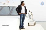 Panjaa Movie New Stills - 3 of 5