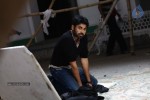 Panjaa Movie Stills - 3 of 4