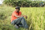 Parithi Tamil Movie Stills  - 38 of 53