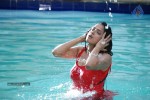 Pathayeram Kodi Tamil Movie Photos - 1 of 68