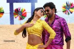 Pattaya Kelappanum Pandiya Tamil Movie Stills - 6 of 39