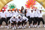 Pattaya Kelappanum Pandiya Tamil Movie Stills - 39 of 39