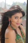 Shriya Latest Stills - 93 of 130