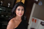 Shriya Latest Stills - 15 of 130