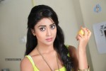 Shriya Latest Stills - 119 of 130