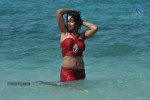 Pelli Pusthakam Movie Photos - 7 of 11