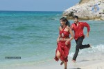 Pelli Pusthakam Movie Photos - 11 of 11