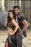 Pooja Movie New Pics - 5 of 14