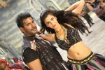 Pooja Movie New Pics - 6 of 14