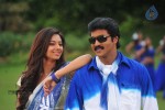 Poola Rangadu Movie Gallery - 20 of 38