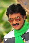 Poola Rangadu Movie Latest Stills - 4 of 13