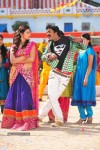 Poola Rangadu Movie Latest Stills - 3 of 79
