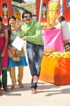 Poola Rangadu Movie Latest Stills - 13 of 79