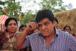 Poola Rangadu Movie Latest Stills - 74 of 79